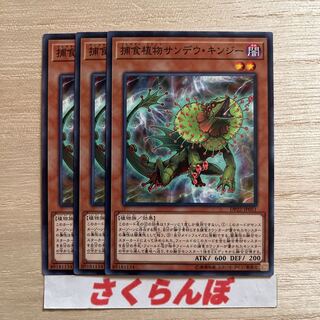 Yu-Gi-Oh Predaplant Chlamydosundew Normal Set of 3