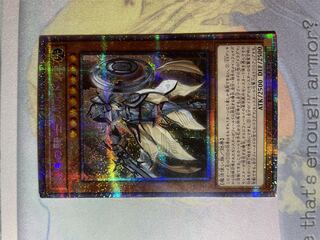 教導の騎士フルルドリス