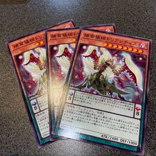 捕食植物トリアンティス