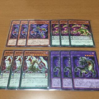 Prey Upon plant ambromeridus Prey Upon plant deck parts for sale in bulk