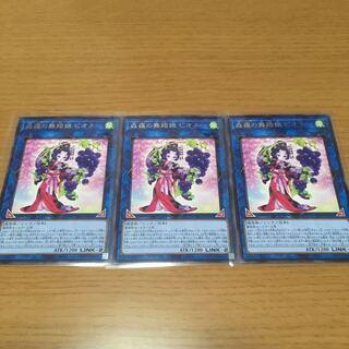 森羅の舞踏娘 ピオネ　レア　3枚セット