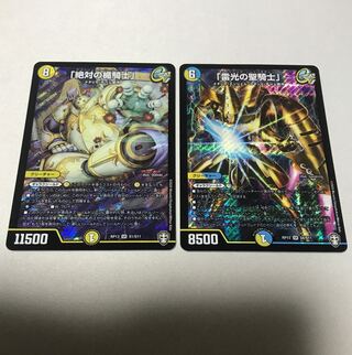 絶対の楯騎士　雷光の聖騎士