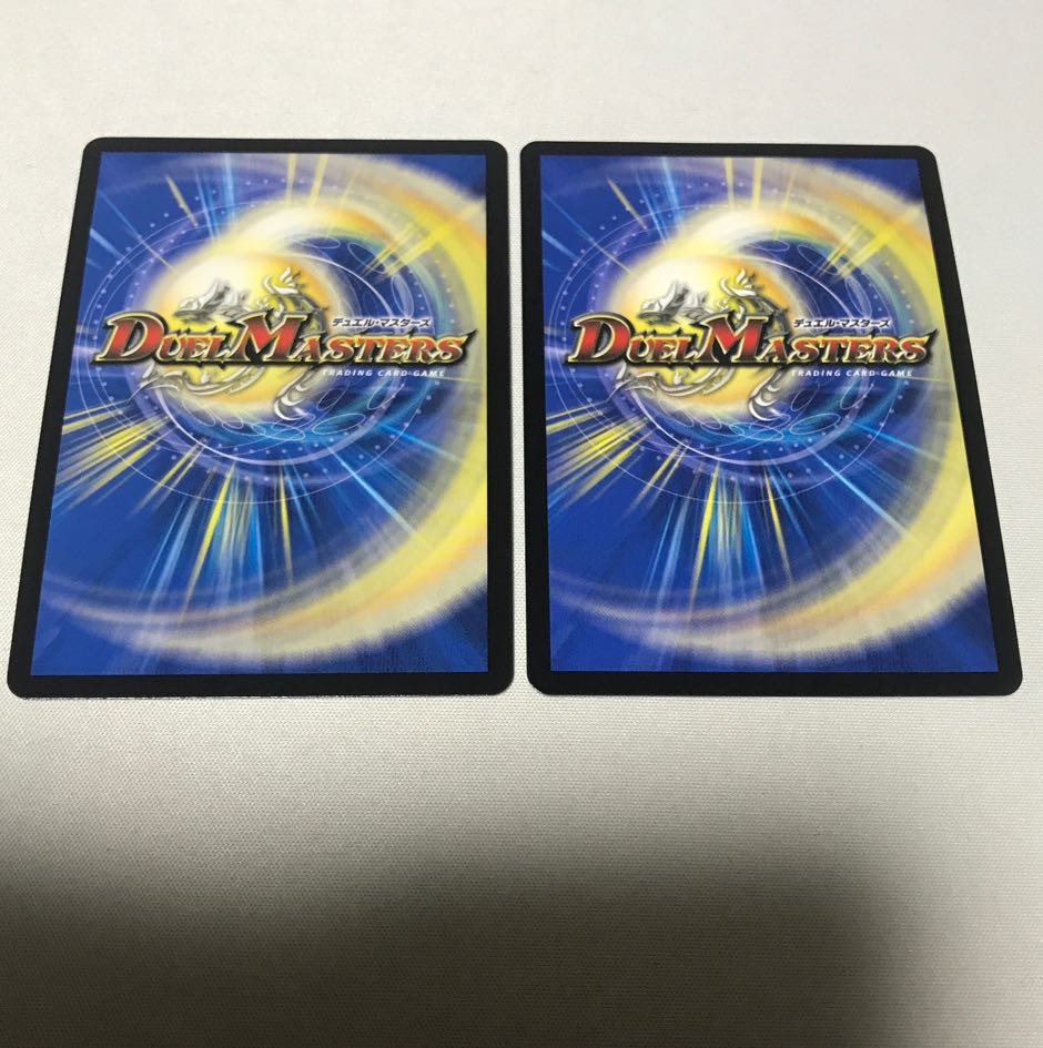 Absolute Shield Knight Holy Knight of Lightning Light