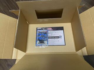 真紅眼の黒竜　プリズマ　未開封