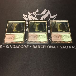 MtG 草むした墓　日語3枚セット