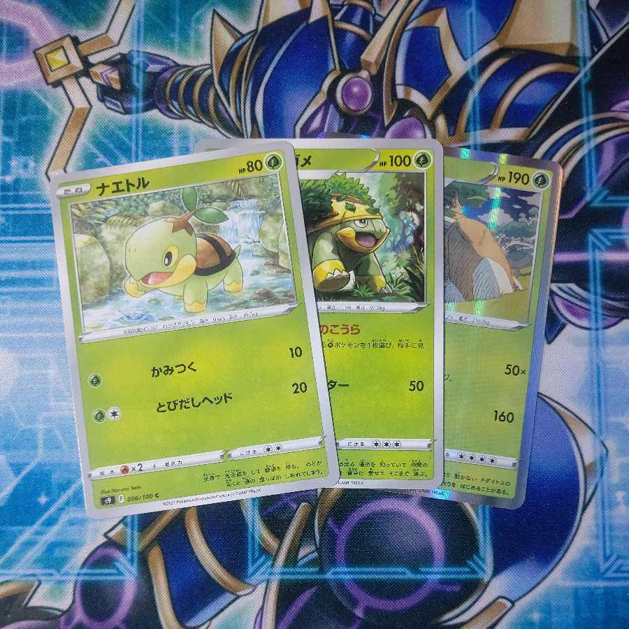 Turtwig Grotle Torterra Evolution Line Set of 3