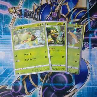 ナエトル ハヤシガメ ドダイトス 進化ライン ３枚セット