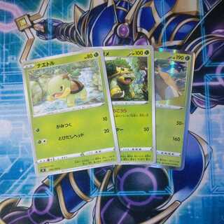 ナエトル ハヤシガメ ドダイトス 進化ライン ３枚セット