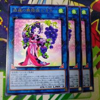 森羅の舞踏娘 ピオネ レア