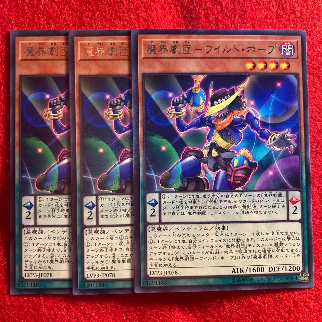 Magic Theatre Company - Wild Hope☆5154