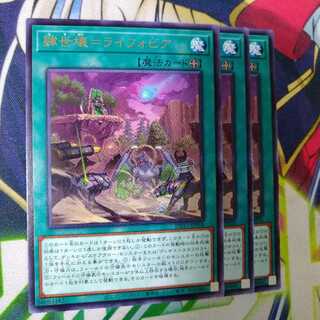 肆世壊=ライフォビア レア