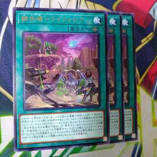 肆世壊=ライフォビア レア