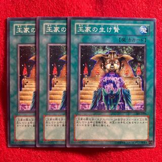 王家の生け贄☆5165