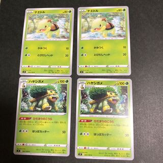 ナエトル　ハヤシガメ　　2枚