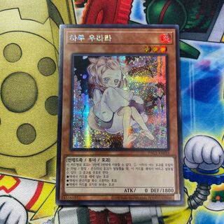 灰流うらら シークレットレア