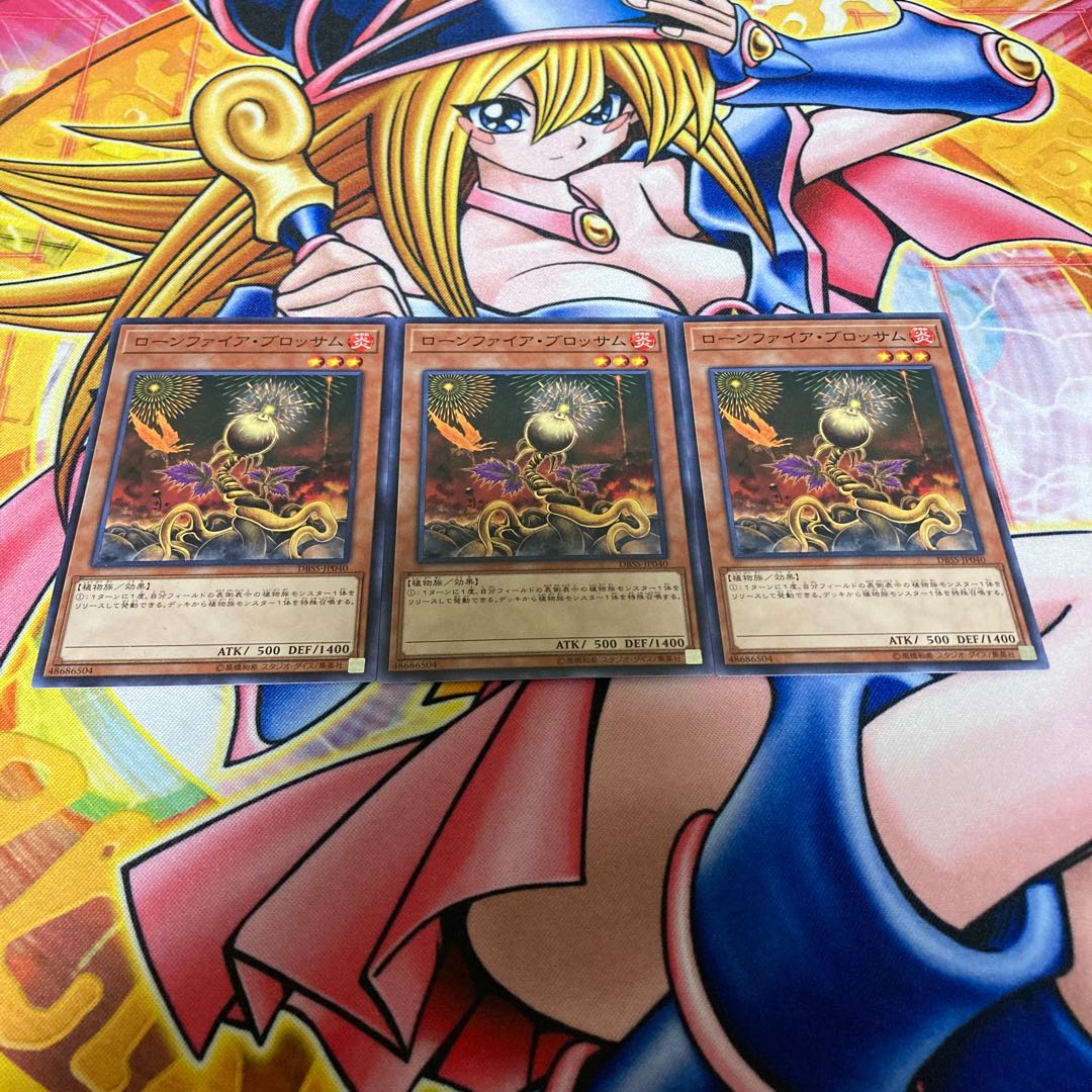 ローンファイア・ブロッサム