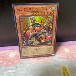 Cellions "Lily" Bollea