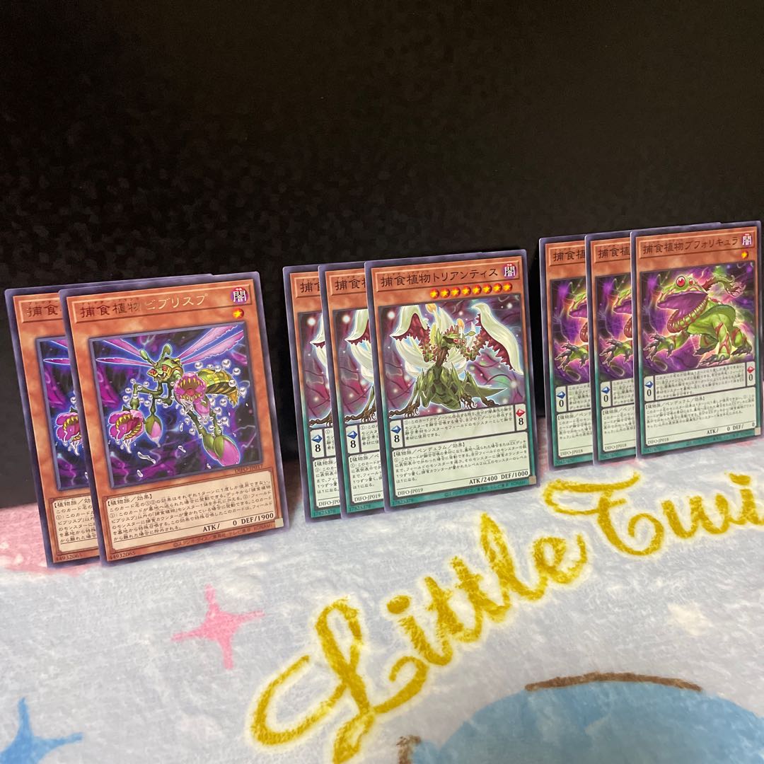 捕食植物ビブリスプ・捕食植物トリアンティス・捕食植物ブフォリキュラ