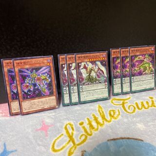 捕食植物ビブリスプ・捕食植物トリアンティス・捕食植物ブフォリキュラ