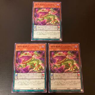 捕食植物ブフォリキュラ【ノーマル】{DIFO-JP018} 3枚set