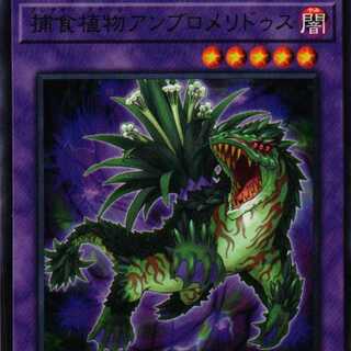 DIFO-JP037 Prey Upon Plant Ambromelidus 3 pieces