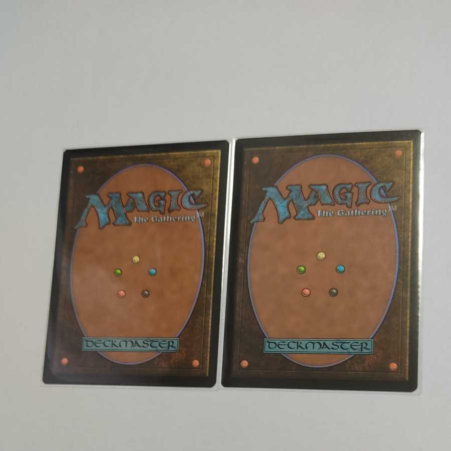 MTG Wasteland SLD English 2 copies in stock