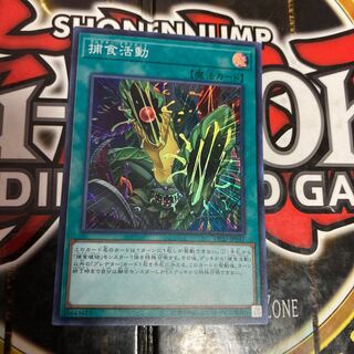 Yu-Gi-Oh Predapractice