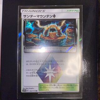 【あっこ様専用】サンダーマウンテン