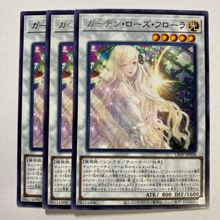 Garden Rose Flora Rare