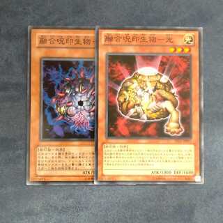 Polymerization Jujin Life Object - Light Yami Set [Korindo].