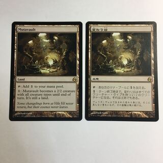 ケーイチ様専用　変わり谷 MOR 英語