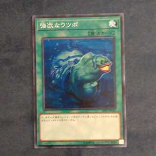 Moray of Greed Normal [Korindo].