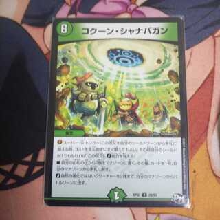 最安値！ コクーン・シャナバガン 一枚