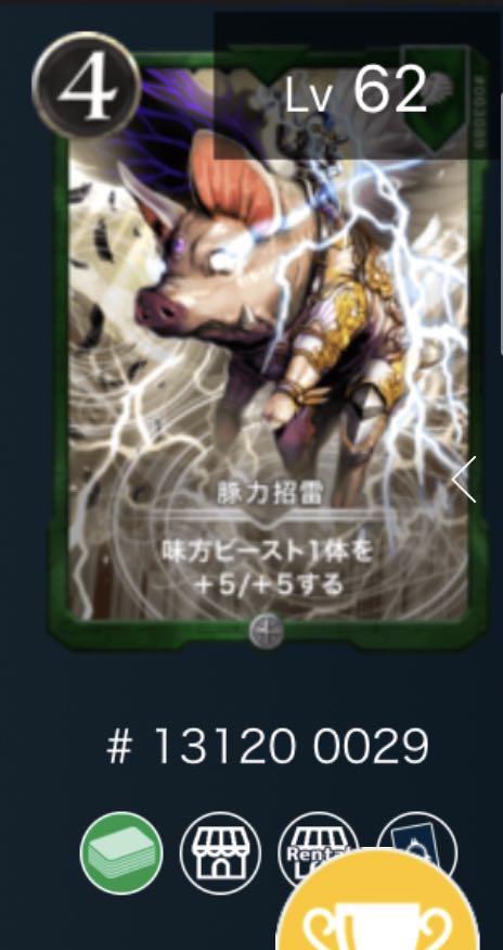 fuku様専用　豚力　2枚