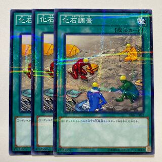 化石調査 パラレル ノーマル