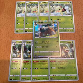 Torterra Evolutionary Line