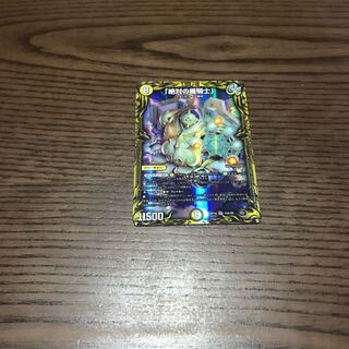 「絶対の楯騎士」