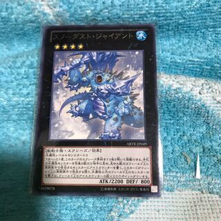 mg34804 silver letter snow dust giant