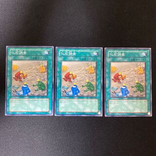 化石調査 ノーマル