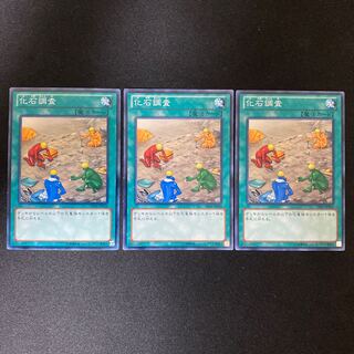 化石調査 ノーマル