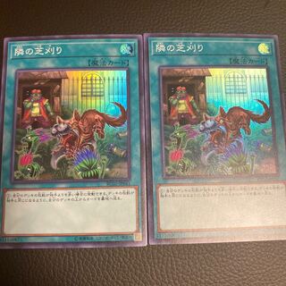 隣の芝刈り スーパーレア