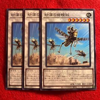 Desert Locusts☆5226