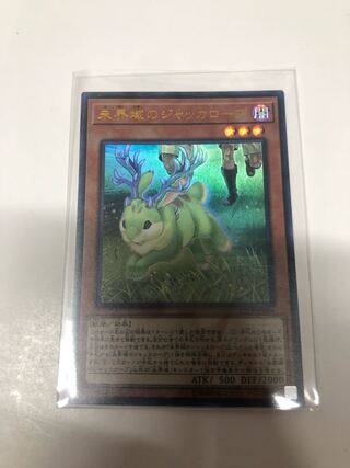 未界域のジャッカロープ　