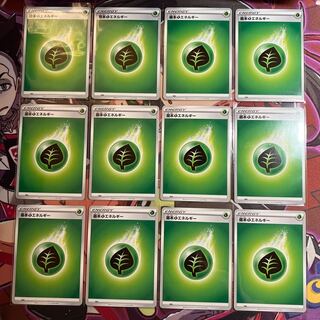 Basic GrassEnergy 12-piece set