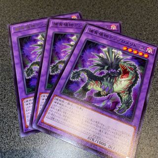 捕食植物アンブロメリドゥス