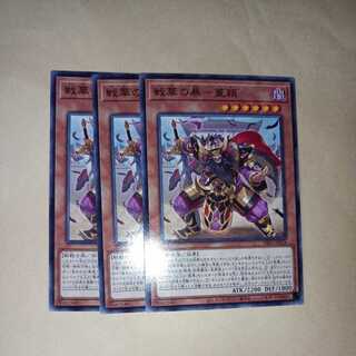 戦華の暴-董穎 ノーマル