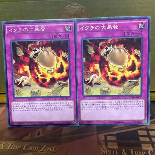 イタチの大暴発 ノーマル 2枚 遊戯王