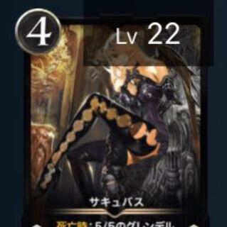 サキュバス  Lv22