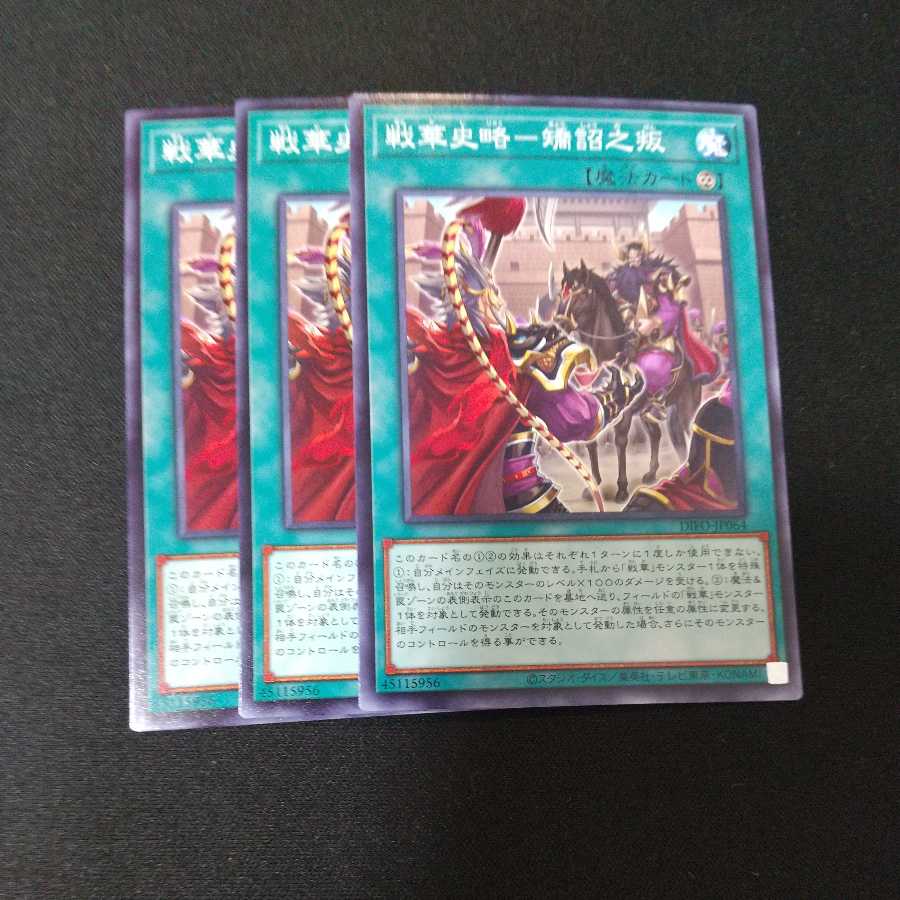 WARRIOR'S HISTORY Normal