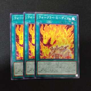 ウォークライ・ミーディアム ノーマル